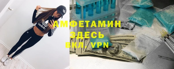 apvp Алексин