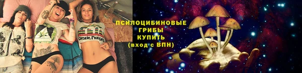 ГАЛЛЮЦИНОГЕННЫЕ ГРИБЫ Алексеевка