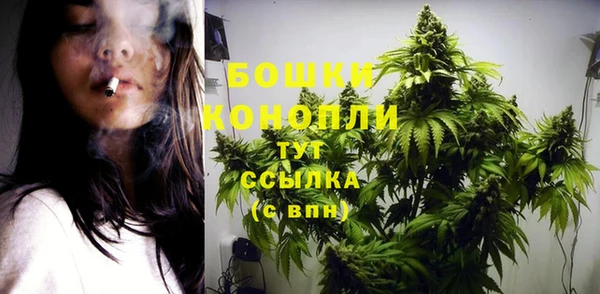 соль ск Абаза
