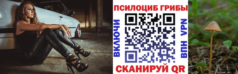 хочу наркоту  Харабали  Галлюциногенные грибы Cubensis 